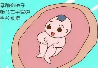 泰國試管嬰兒